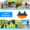 Dog Training Collar IP67 Waterproof Pet Beep Vibration Electric Shock Collar Rechargeable Transmitter Receiver Trainer w/ Remote