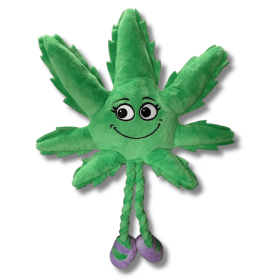 My Name is Mary Jane, Cute Stuffed Parody Marijuana Leaf Dog Toy, Funny Squeaky Weed Toy, Cool Plush Novelty 420 Gift for Puppies & Small, Medium & L)