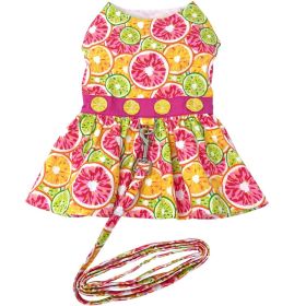 Citrus Slice Dog Dress with Matching Leash (size: X-Large)