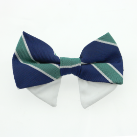 Universal Dog Bow Tie (Color: Navy Blue and Green Stripe, size: Type 2)