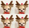Chrimas Dog Winter Warm Clothing Cute Plush Coat Hoodies Pet Costume Jacket For Puppy Cat French Bulldog Chihuahua Small Dog Clothing
